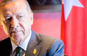 Turkey: Turkish opposition: "People are fed up...