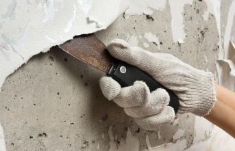 Renovate: Do it yourself: How to successfully remove...