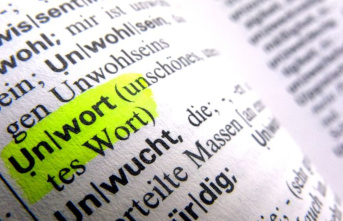 Language: More than 1100 suggestions for "Unword...