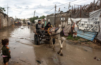 Storm: Heavy rains in parts of the Arab world