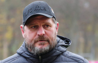 World Cup 2022: Bundesliga coach Steffen Baumgart:...