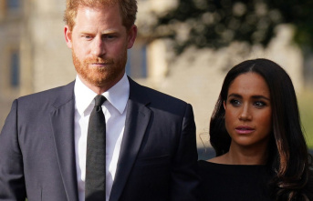 Harry and Meghan: allegations without evidence –...