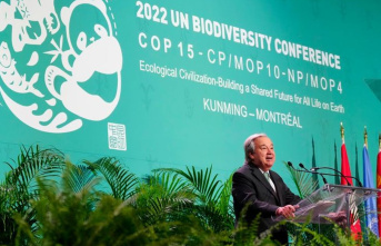 Nature conservation: UN chief at World Nature Summit:...