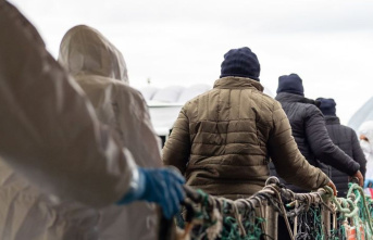 Migration: 255 asylum seekers relocated halfway through...