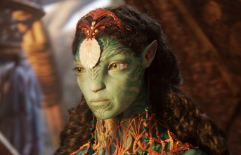 Indignation at "Avatar 2" premiere: Stars...