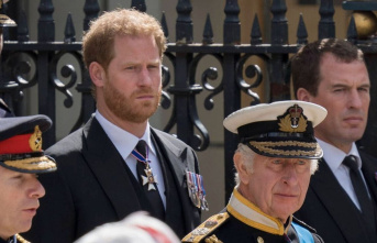 Prince Harry: He wishes Charles and William "back"
