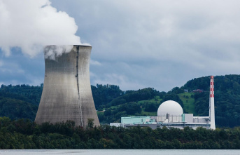 Nuclear power debate: Goodbye?! Why the piles are...