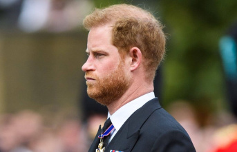 Prince Harry: He saw photos of Diana in the accident...