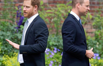Royals: Prince Harry on brother dispute and the "ultimate...