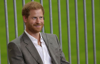 TV hit: Prince Harry gives TV interviews again: "Silence...