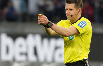Bundesliga referee: handball as a role model: soccer...