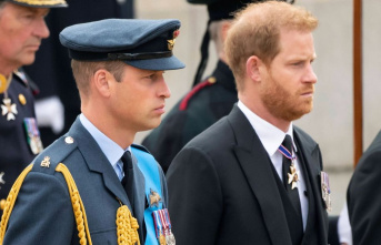New details from "Spare": Prince Harry felt...