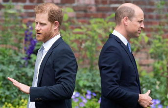 Violence between brothers: Prince Harry claims in...