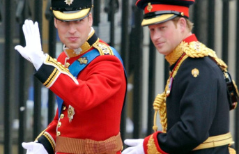 Royals: Prince Harry: I was only pretending to be...