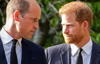 British Royals: Harry accuses William of physical...