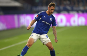 Schalke with injury update for Polter: the end of...