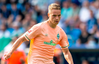Open dealings: The case of Werder professional Niklas...