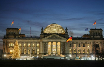 Democracy: Powerful financial lobby in the Bundestag:...