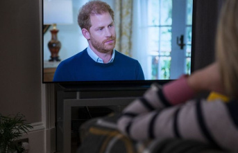 British royal family: Prince Harry on TV: sharp words...