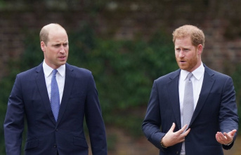 Prince Harry and Prince William: Their argument has...