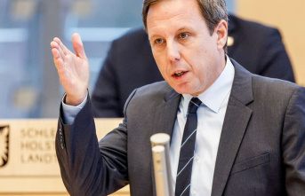 SPD parliamentary group leader: Losse-Müller calls...