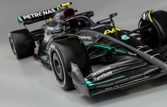 Formula 1: Hamilton's joy in the new Mercedes:...