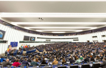 EU Parliament: Many MEPs are sloppy when it comes...