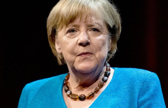Disinformation: Trolls: Merkel phoned fake Poroshenko