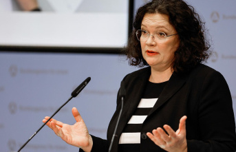 Home office and office dog: Nahles criticizes the...