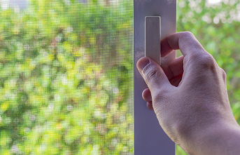 Pollen season: Pollen screens for windows: How to...