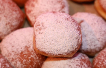 Bavaria: Bäcker offers donuts with insect flour –...