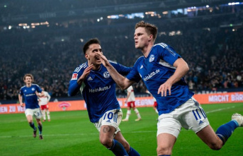 Matchday 22: Schalke can still win: 2:1 against Stuttgart