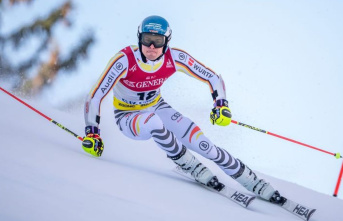 Alpine skiing: gold hype with consequences: Schmid...