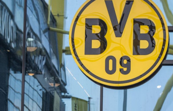 Football: Borussia Dortmund makes more profit