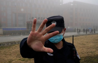Diseases: WHO urges Beijing: More studies on coronavirus...