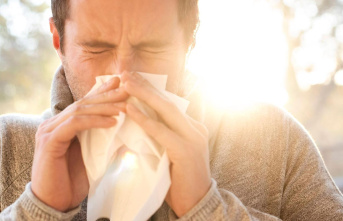 Allergy: The best and cheapest hay fever remedies...