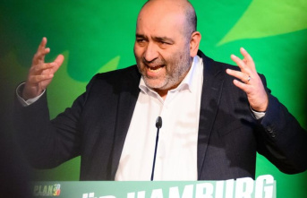 State party conference of the Greens: Nouripour criticizes...