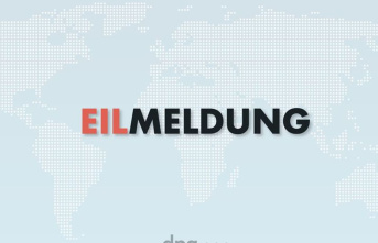 Publishers: Axel Springer announces job cuts at "Bild"...