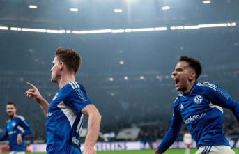 Bundesliga: Schalke back in business: "Longed...