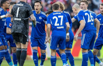 Bundesliga: Schalke joy about "extra point"