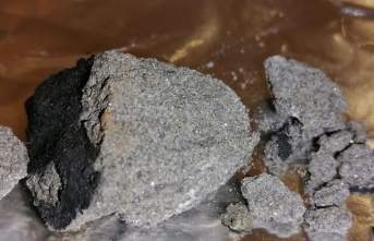 Astronomy: Meteorite parts hit balcony in southern...