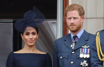 Prince Harry and Duchess Meghan: Is a "South...