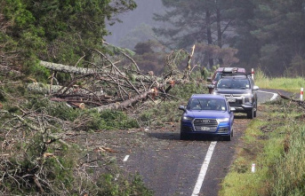 Emergencies: At least eleven dead after cyclone "Gabrielle"...