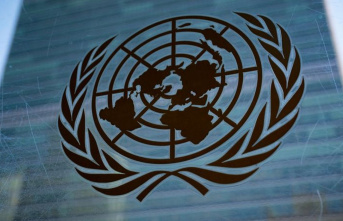United Nations: Complicated UN negotiations to protect...
