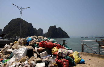 Vietnam: Ha Long Bay: From tourist paradise to plastic...
