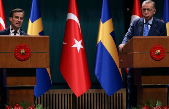 Conflicts: Erdogan doubts Sweden's NATO membership...