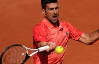 French Open: Dream semi-final Djokovic against Alcaraz perfect