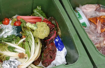 Waste: Agreement against food waste in retail planned