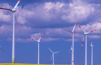 Energy: Wind power again the most important source of electricity