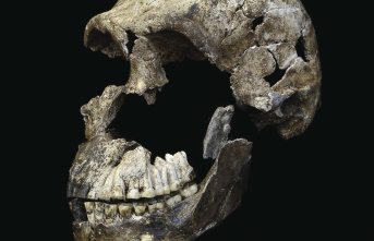 Homo naledi: Researchers find world's oldest...